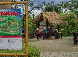Panaca